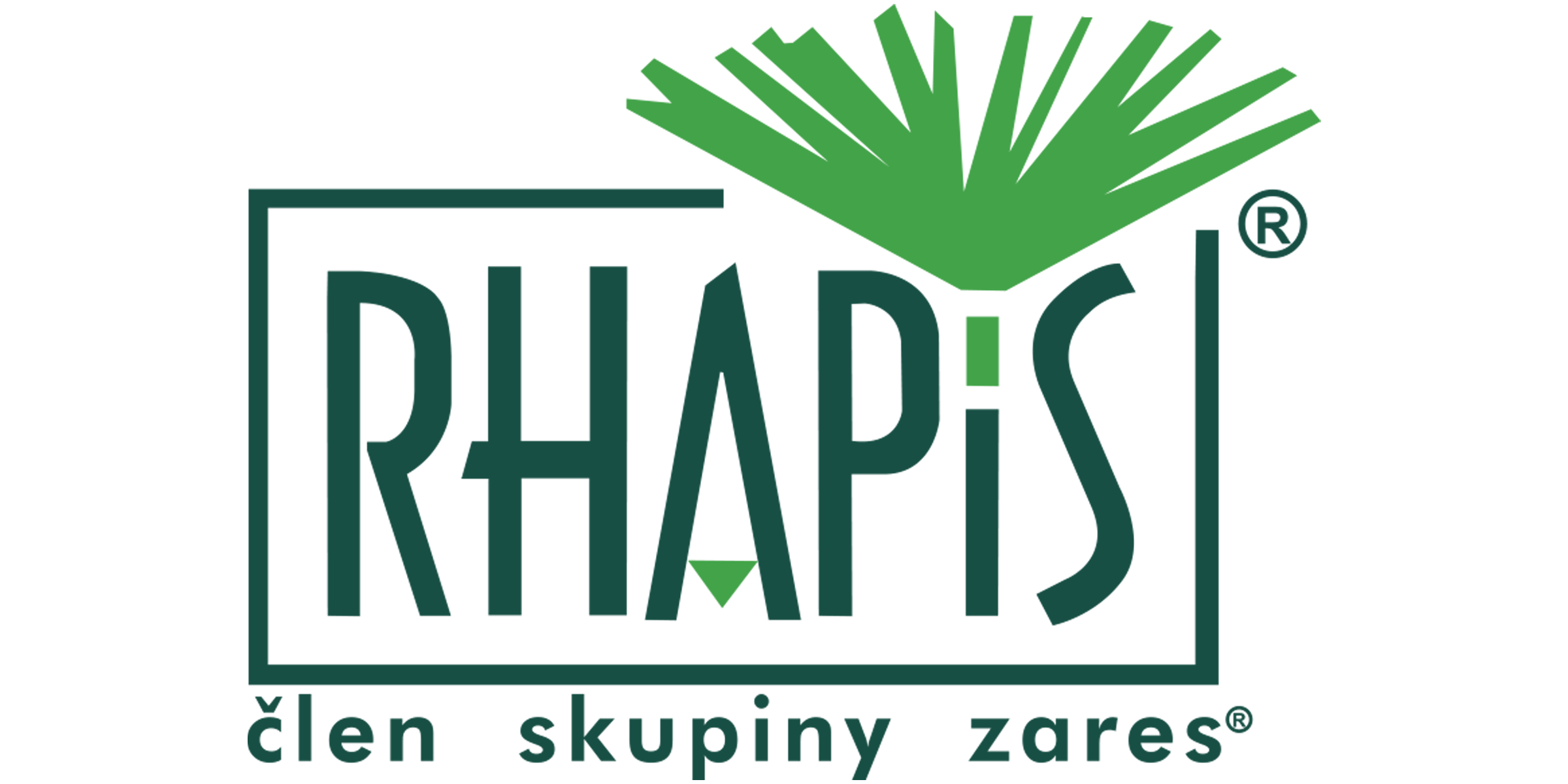 Rhapis