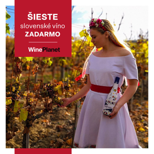Šieste víno ZADARMO Slovenské vinobranie